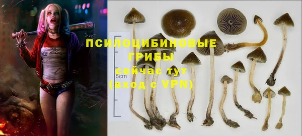 мдма Тайга