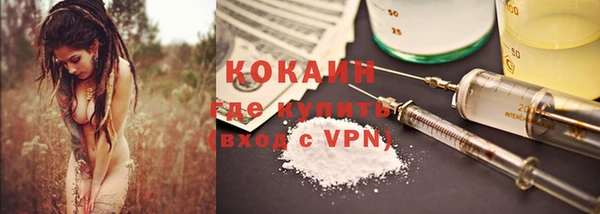 гидра Бронницы