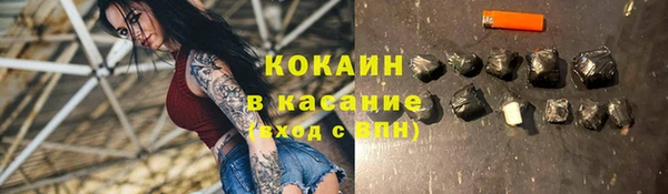 гидра Бронницы