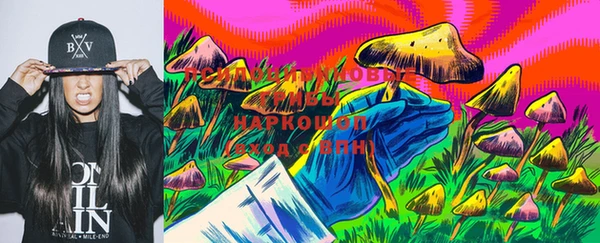 гидра Бронницы