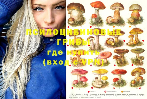 прущая мука Бородино