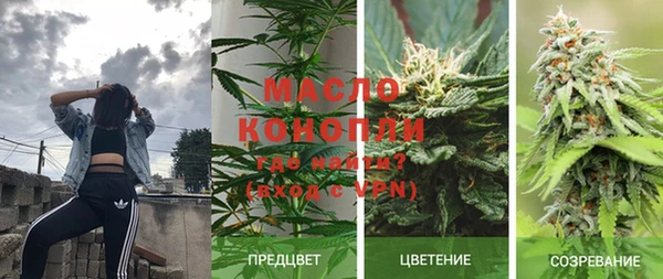 гидра Бронницы