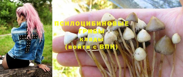 прущая мука Бородино