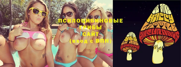 spice Богданович