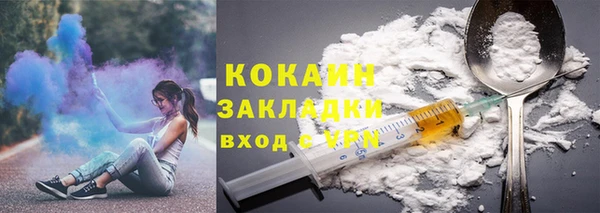гидра Бронницы