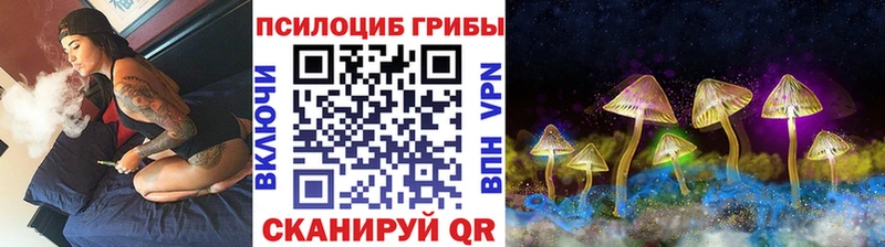 Псилоцибиновые грибы Psilocybe Кедровый