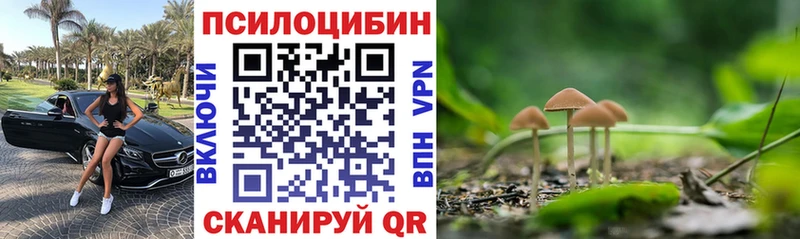 Псилоцибиновые грибы GOLDEN TEACHER  Кедровый 